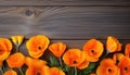 Orange poppies on wooden background. Top view with copy space