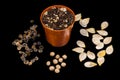 A orange pot and different sort of seeds on a black background. Royalty Free Stock Photo