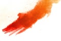 Orange powder explosion on white background. Colored cloud. Colorful dust explode. Paint Holi
