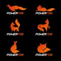 Orange power fox logo vector set design