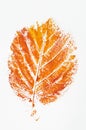 Orange printed fall leaf