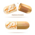 Medicines with Probiotic Bacteria Realistic Vector Royalty Free Stock Photo