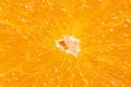 Orange pulp texture background. Macro Royalty Free Stock Photo