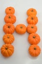 Orange pumkin on white background