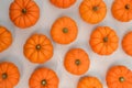 Orange pumkin on white background Royalty Free Stock Photo