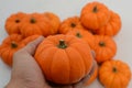 Orange pumkin on white background Royalty Free Stock Photo