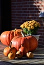 Orange pumkins in different sizes as a closeup