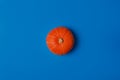 Orange pumpkin on a bright blue background. Flat lay in a minimal style Royalty Free Stock Photo