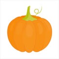 Orange pumpkin. Cartoon style.Isolated element