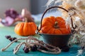 Orange pumpkin in a copper bucket and dried berries with rope and dry white herbs on a blue wooden surface.