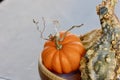 Orange pumpkin with a curly stem with a green bumpy gourd in a bowl background