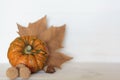 Orange pumpkin, dry leaf, acorn and sycamore balls. Autumn concept with copy space