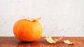 Orange pumpkin and dry oak leaves on brown wooden table on gray concrete wall background. Copy space, autumn composition Royalty Free Stock Photo