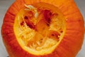 orange pumpkin entrails