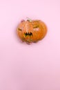 Orange pumpkin in female`s hand on pink background. woman`s hand holding pumpkin Royalty Free Stock Photo