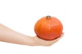 orange pumpkin in female`s hand on white background. woman`s han Royalty Free Stock Photo