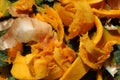 Orange pumpkin food scraps detail and onions Royalty Free Stock Photo
