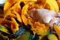 Orange pumpkin food scraps detail and onions Royalty Free Stock Photo