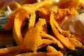 Orange pumpkin food waste scraps Royalty Free Stock Photo