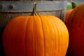 Orange pumpkin in front of barrel Royalty Free Stock Photo