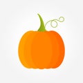 Orange pumpkin fruit with tendril symbol