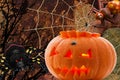 An orange pumpkin with glowing eyes in the foreground a pair of predatory spiders on the hunt with a web for flies and a pair of Royalty Free Stock Photo