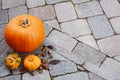 Orange pumpkin and gourds with hazelnuts and autumn leaves