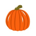 Orange pumpkin Halloween is isolated on a white background. Vector illustration in cartoon style. Pumpkin, patison for