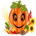 Orange Pumpkin with happy face surrounded by fall objects