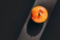 Orange pumpkin with hard shadow on black background