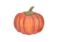 Orange pumpkin illustration. Autumn graphic icon. Isolated on white background. Halloween or Thanksgiving print. Colored Pencil Royalty Free Stock Photo