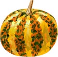 Orange pumpkin on isolated white background, watercolor illustration, hand drawing