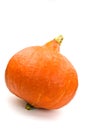 An orange pumpkin isolated on white. halloween