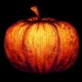 An orange pumpkin with a large sprig