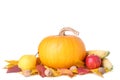 Orange pumpkin with leaves and vegetables isolated on white