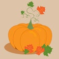 Orange pumpkin with leaves for your design for the holiday Halloween. Stock Vector illustration