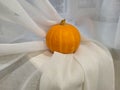 An orange pumpkin, lying on a white cloth background Royalty Free Stock Photo