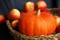 Orange pumpkin next to ripe apples in a basket on a dark background Royalty Free Stock Photo