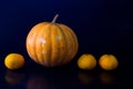 Orange pumpkin and oranges line photo on black background. Royalty Free Stock Photo