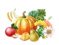 Orange pumpkin,Red apple,pear.Watercolor illustration on white background. Autumn harvest.Fresh vegetarian food Royalty Free Stock Photo