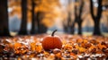 An orange pumpkin rests peacefully surrounded by lush leaves