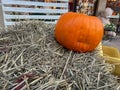 One Orange Halloween Jack-o\'-Lantern on Straw Bale â Cheerful Sunny Day Royalty Free Stock Photo