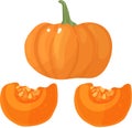 Orange pumpkin vector illustration. Autumn halloween pumpkin, vegetable graphic icon or print, isolated on white Royalty Free Stock Photo