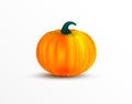 Orange pumpkin vector illustration. Autumn halloween or thanksgiving pumpkin, vegetable graphic icon isolated on white background. Royalty Free Stock Photo