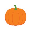 Orange pumpkin vector illustration. Autumn halloween pumpkin, vegetable graphic icon or print Royalty Free Stock Photo