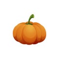 Orange pumpkin vector illustration. Autumn halloween pumpkin, vegetable graphic icon or print, isolated on white Royalty Free Stock Photo