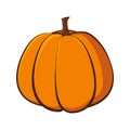 Orange pumpkin vector illustration. Autumn halloween pumpkin, vegetable graphic icon or print, isolated on white Royalty Free Stock Photo