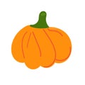 Orange pumpkin vector illustration. Autumn halloween pumpkin, vegetable graphic icon or print, isolated on white background Royalty Free Stock Photo