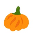 Orange pumpkin vector illustration. Autumn halloween pumpkin, vegetable graphic icon or print, isolated on white background Royalty Free Stock Photo