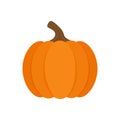 Orange pumpkin vector illustration icon